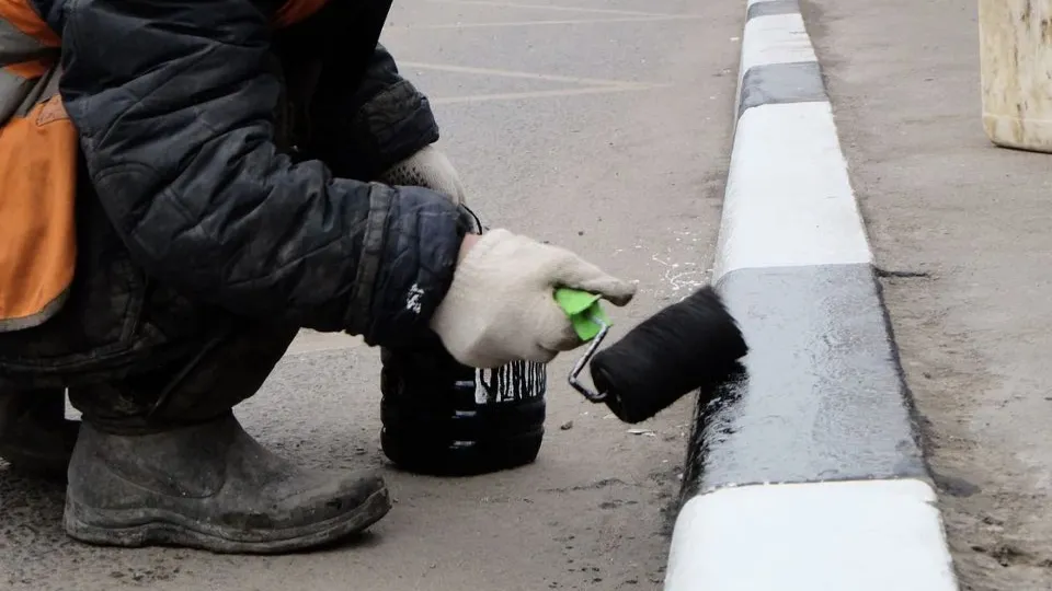 Фото: пресс-служба губернатора и правительства Московской области
