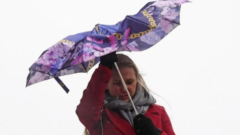 Жителей Подмосковья предупредили о «желтом» уровне опасности в четверг