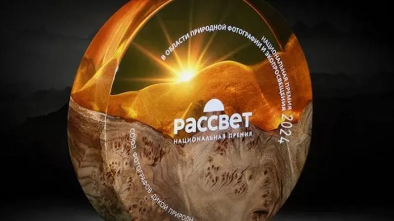 Подмосковные фотографы и художники могут стать участниками Национальной премии «Рассвет»