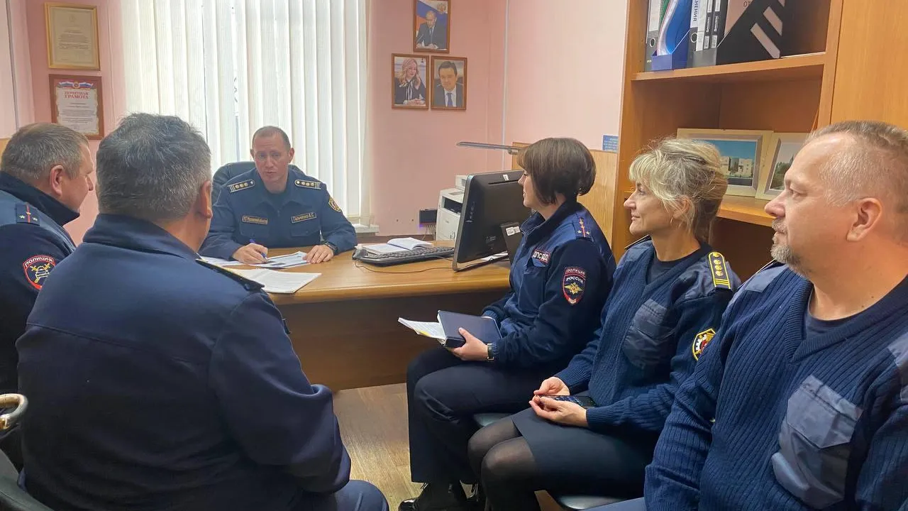 Источник: пресс-служба Госавтоинспекции Павлово-Посадского городского округа