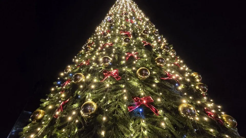 Фото: REGIONS/Яна Шаливская