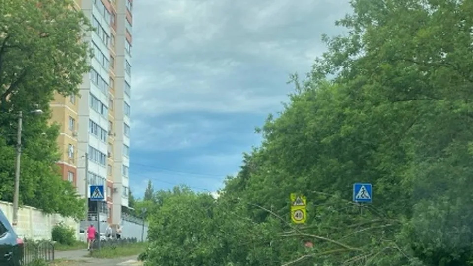 Фото: vk.com/АвтоКлуб Воскресенск Коломна Раменское Егорьевск