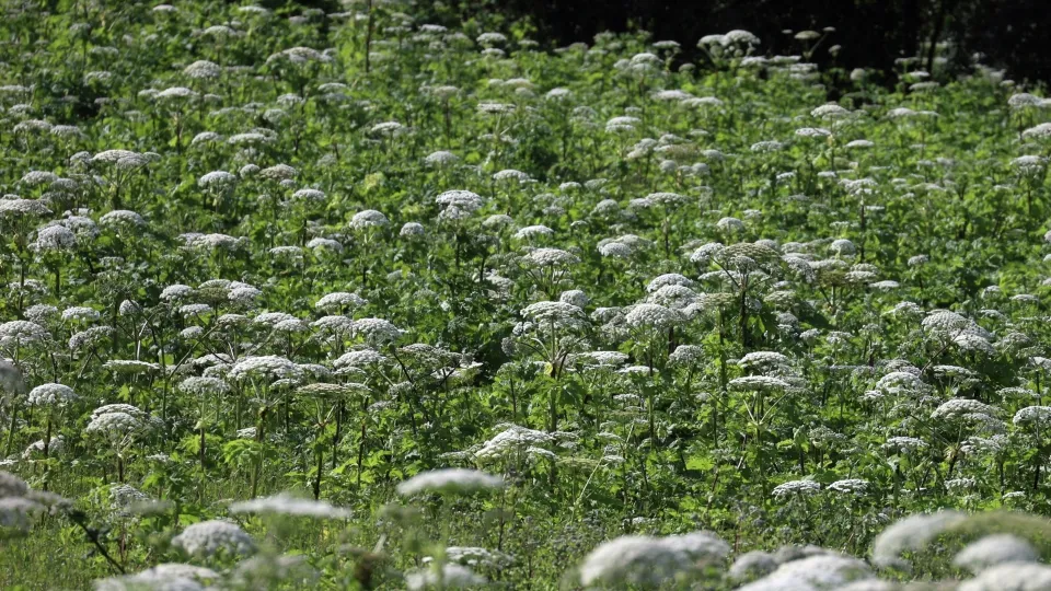 Фото: РИА Новости/Павел Львов