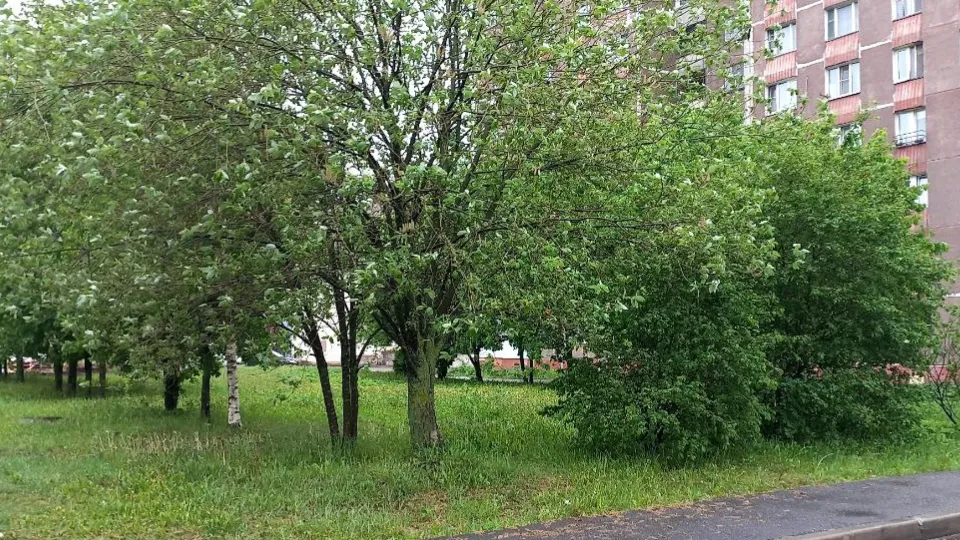 Фото: REGIONS/Олег Книжник