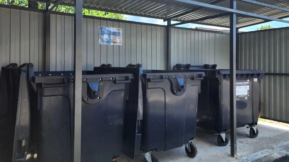 Фото: МедиаБанк Подмосковья/Яна Шаливская