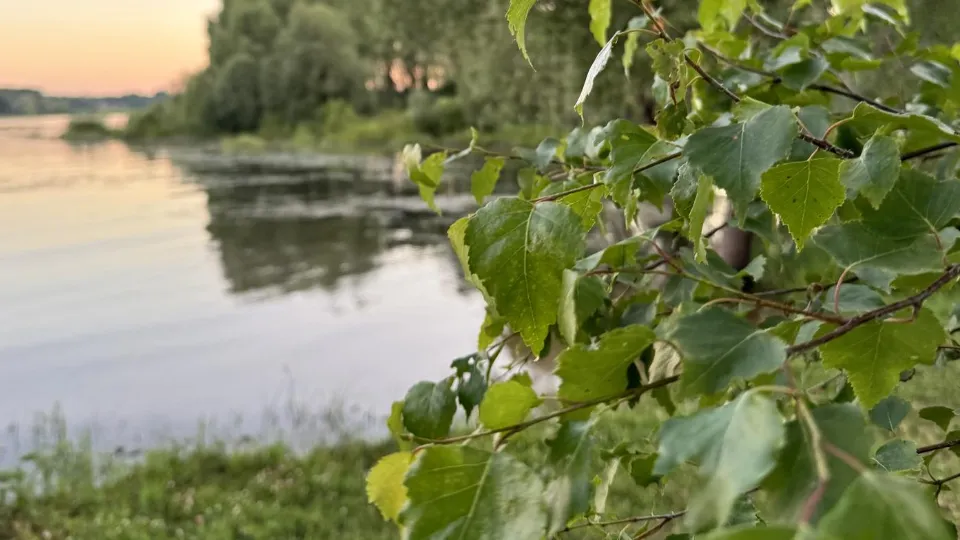 Фото: пресс-служба администрации Можайского округа