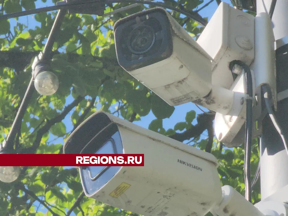 Фото: Арина Кузнецова&nbsp;