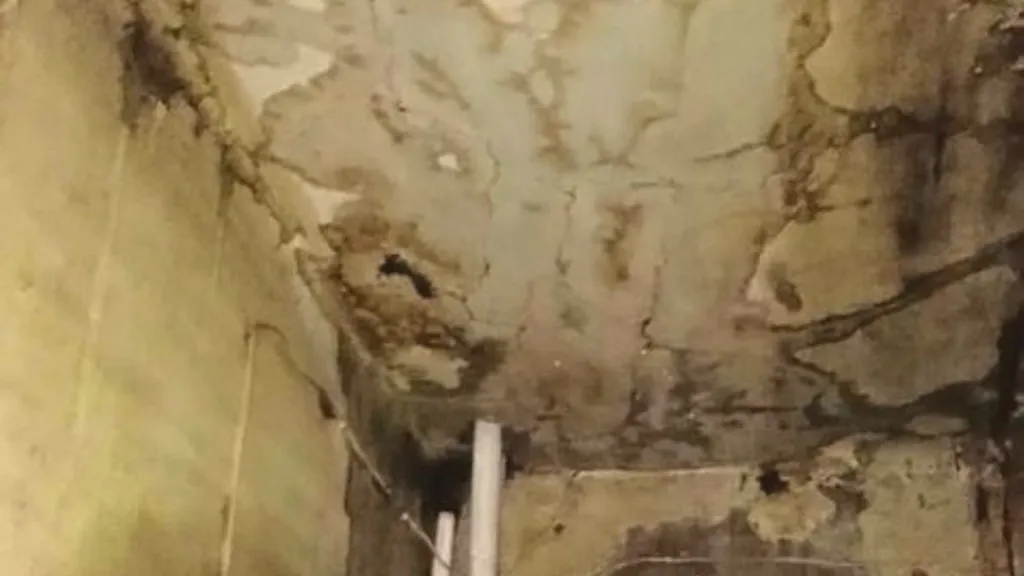 Тг-канал «Кашира»