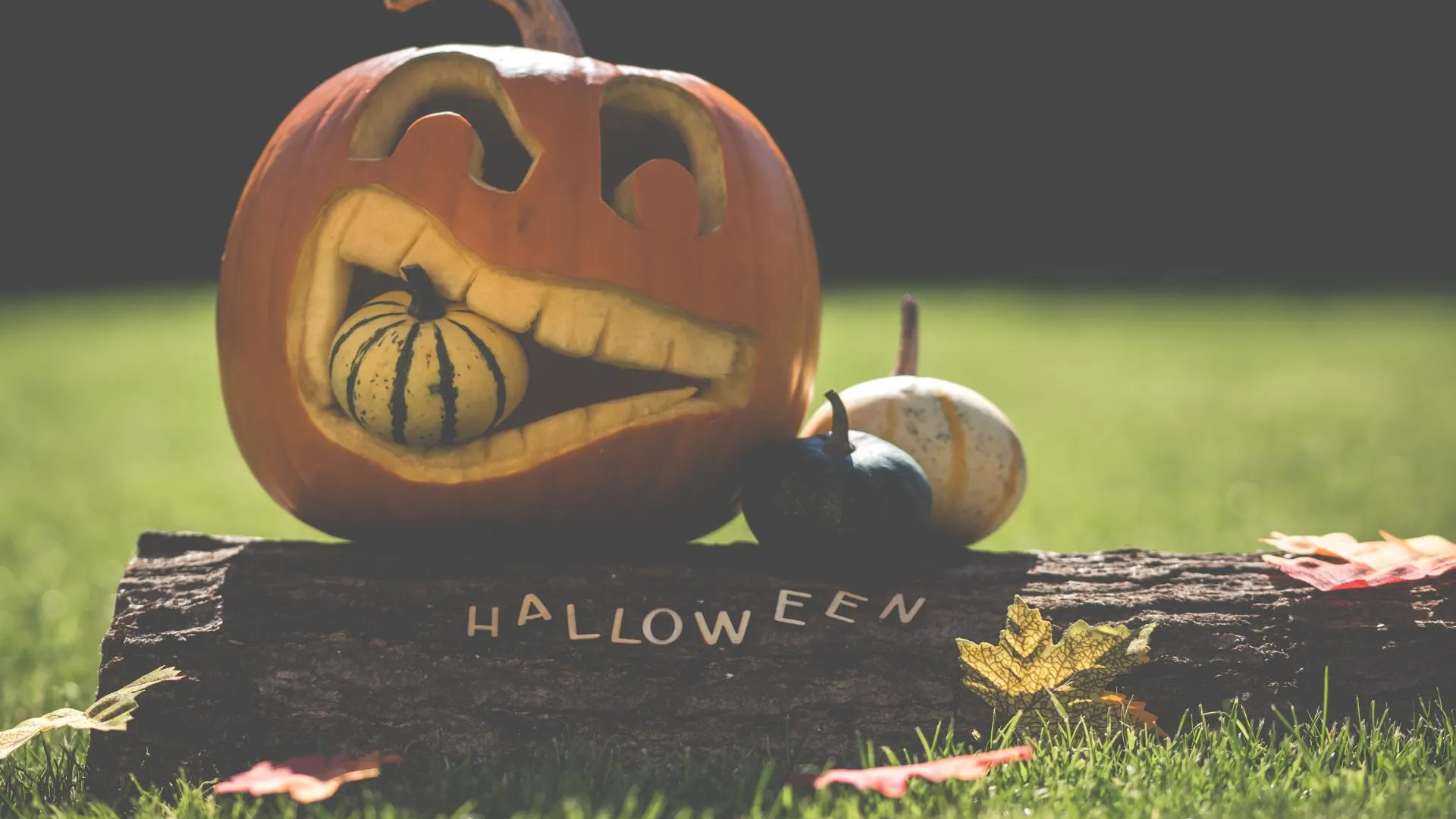 Photo by Ylanite Koppens on StockSnap