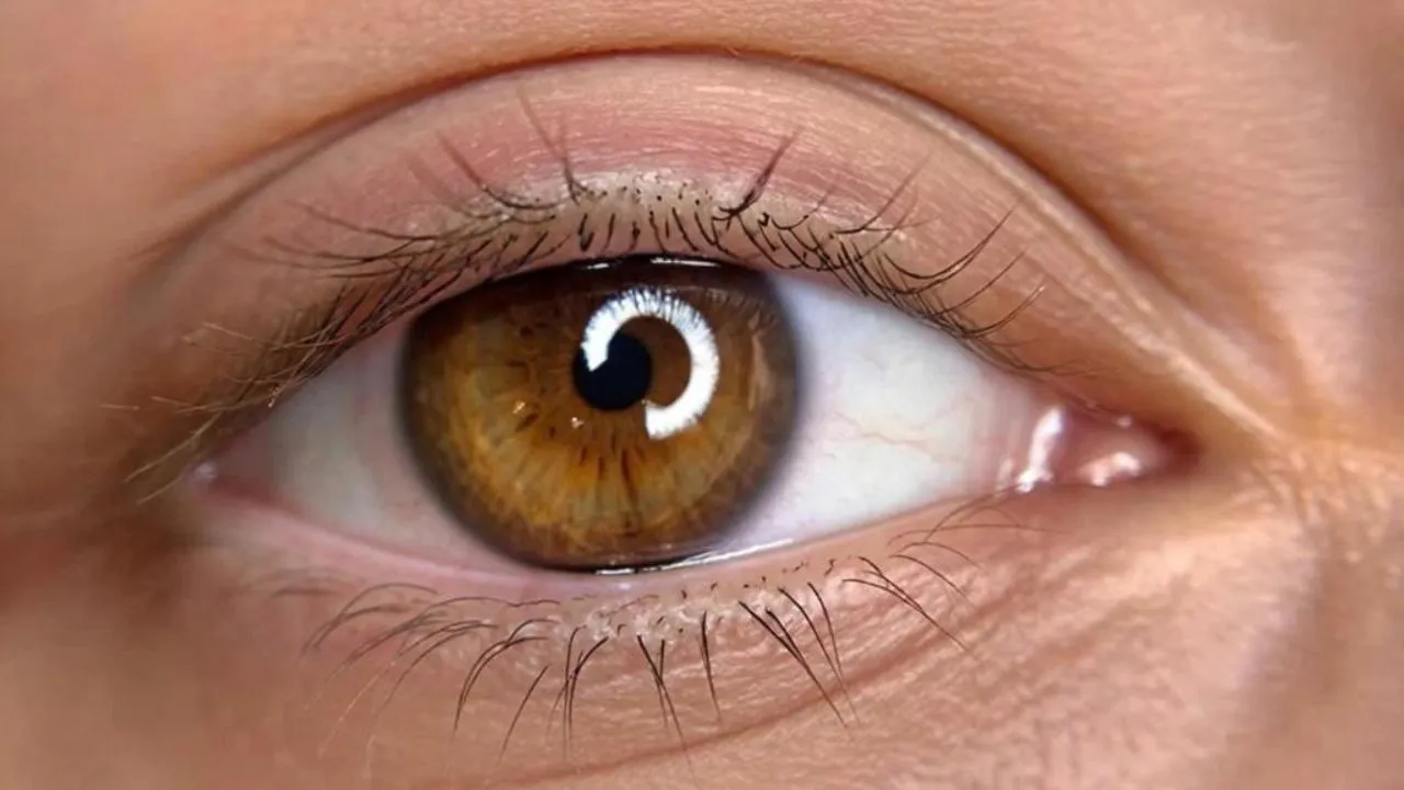 REGIONS/Сгенерировано нейросетью