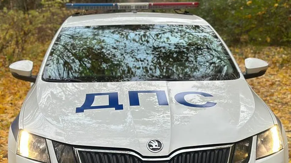 Фото: t.me/gibdd50mo