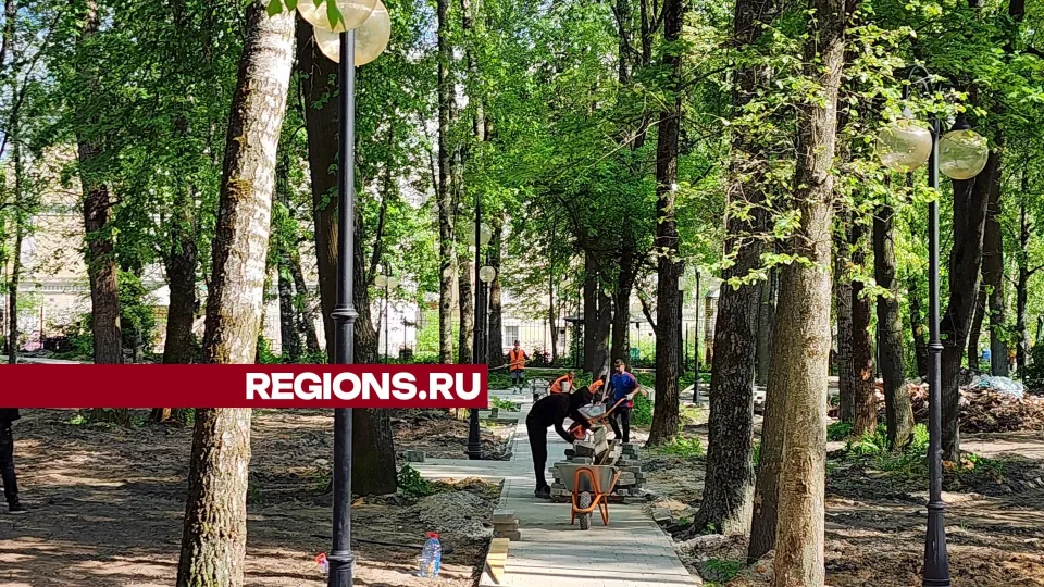 Фото: Александр Степушкин