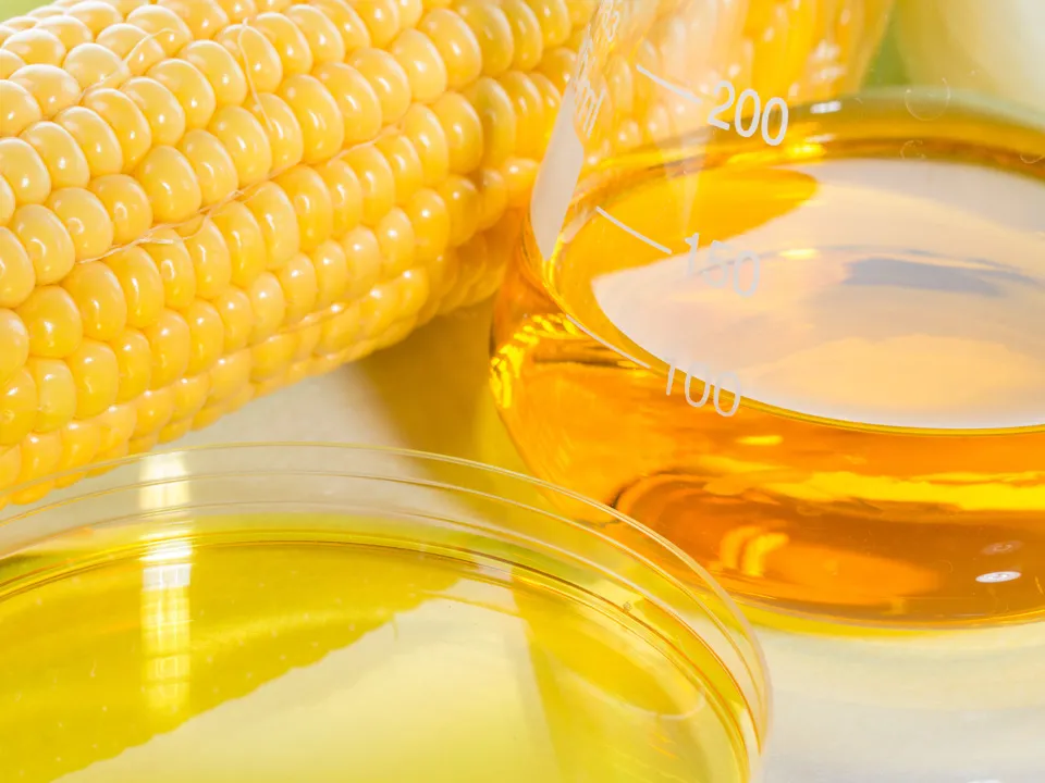 Фото: istockphoto.com/PRImageFactory&nbsp;