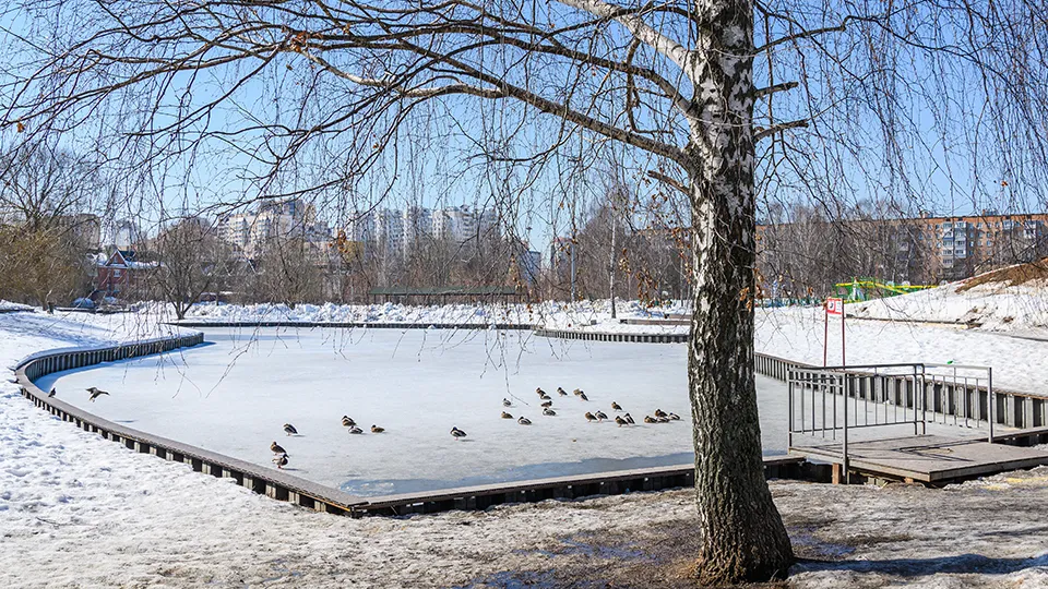 Фото: медиасток.рф