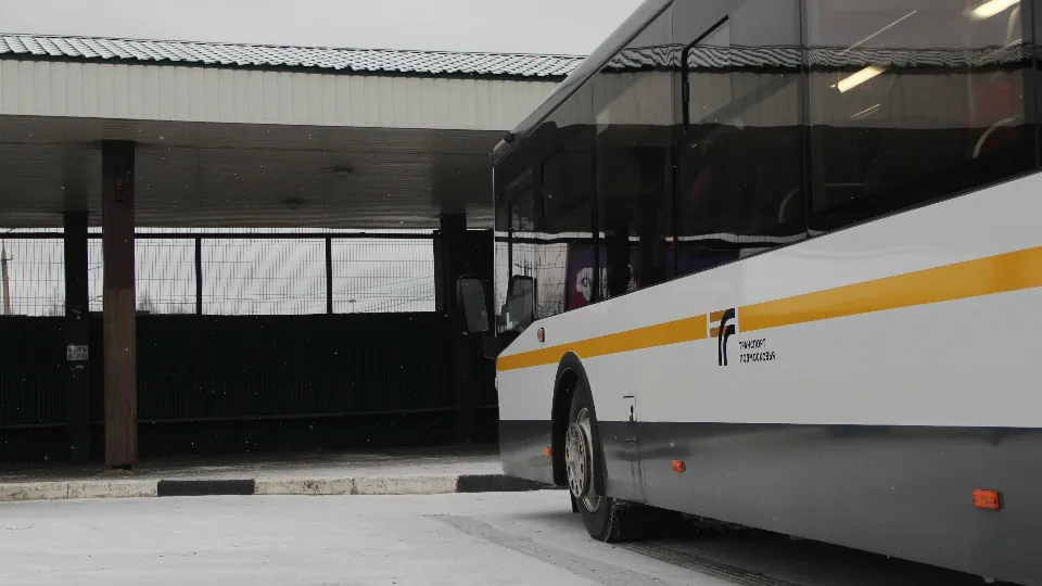 Фото: REGIONS/Василий Тремасов