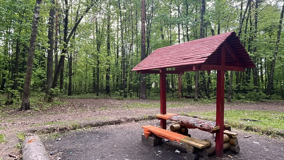 Фото: МедиаБанк Подмосковья/Елизавета Приймак