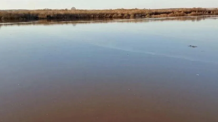 пресс-служба администрации г.о. Кашира