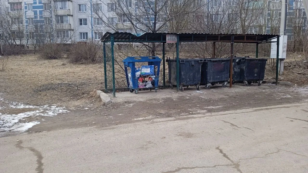 Фото: пресс-служба администрации Сергиево-Посадского г.о.