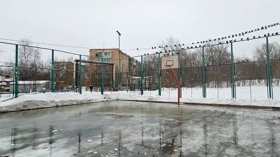 Фото: МедиаБанк Подмосковья/Вероника Горбачева