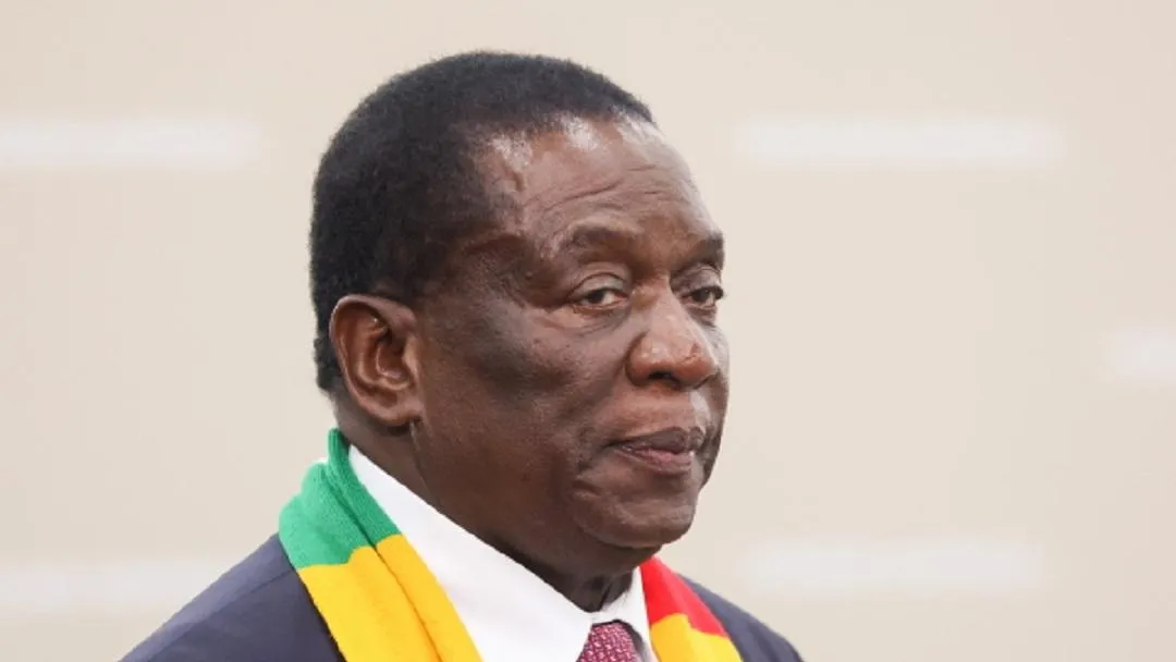 Немецкий депутат предположила, почему Африка отвернулась от Запада