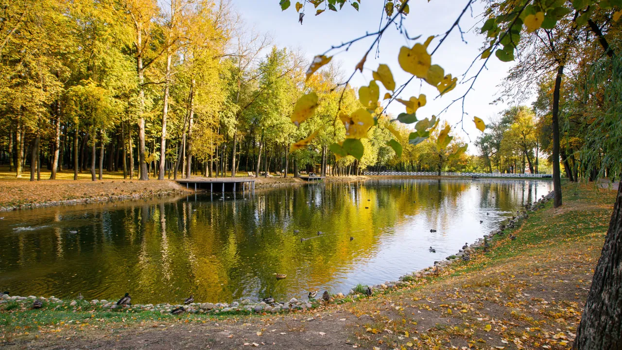 Фото: медиасток.рф