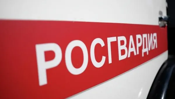 Николай Хижняк / РИА Новости