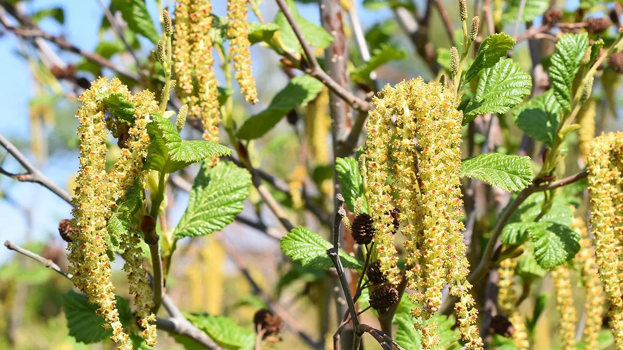 istockphoto.com/HHelene