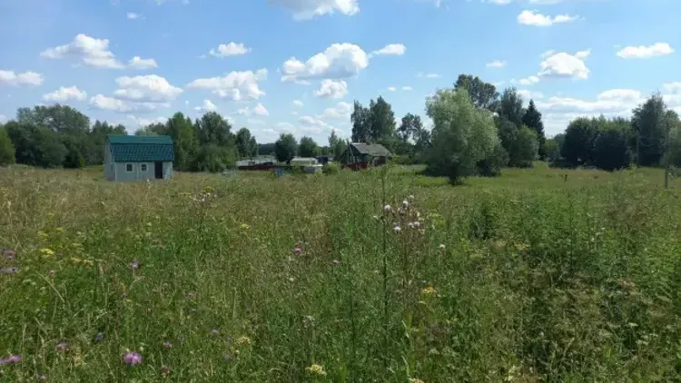 Участок на торгах в Дмитровском м. о. (д. Бестужево)