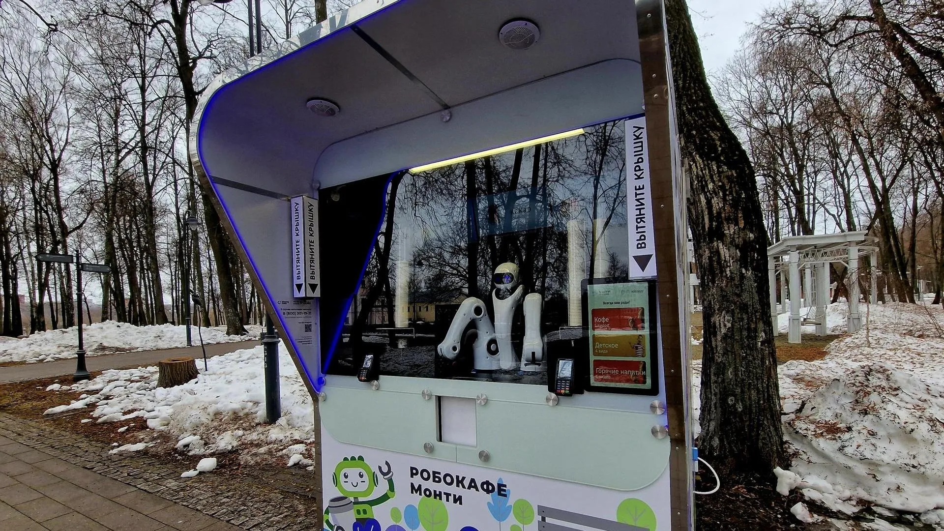 REGIONS/Ольга Шаронова