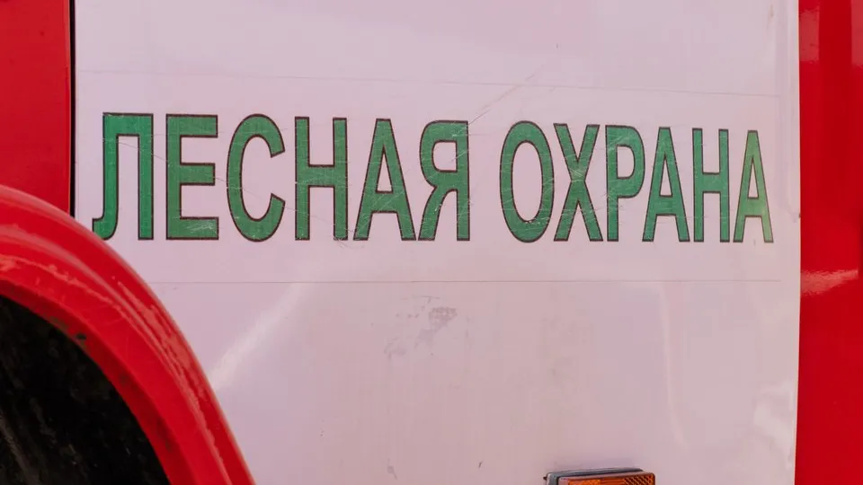 Фото: REGIONS/Евгений Мазепов