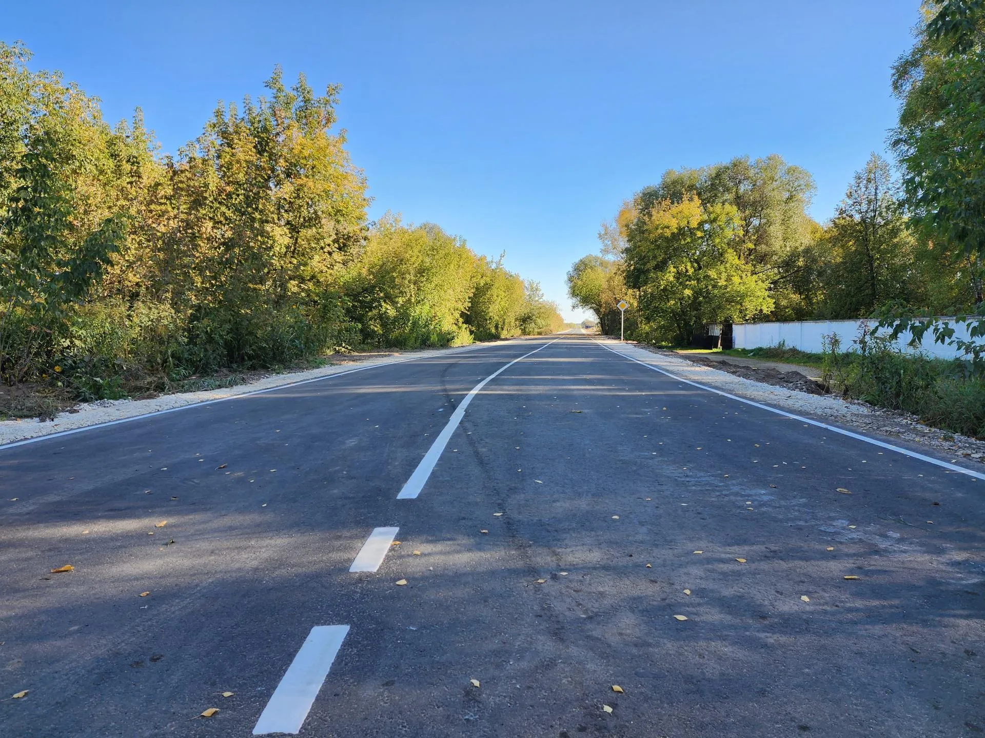 Фото: МедиаБанк Подмосковья/Ирина Моисеева