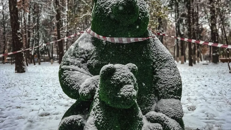 Фото: vk.com/Парки Коломны