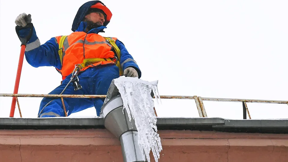 Фото: РИА Новости/Владимир Песня