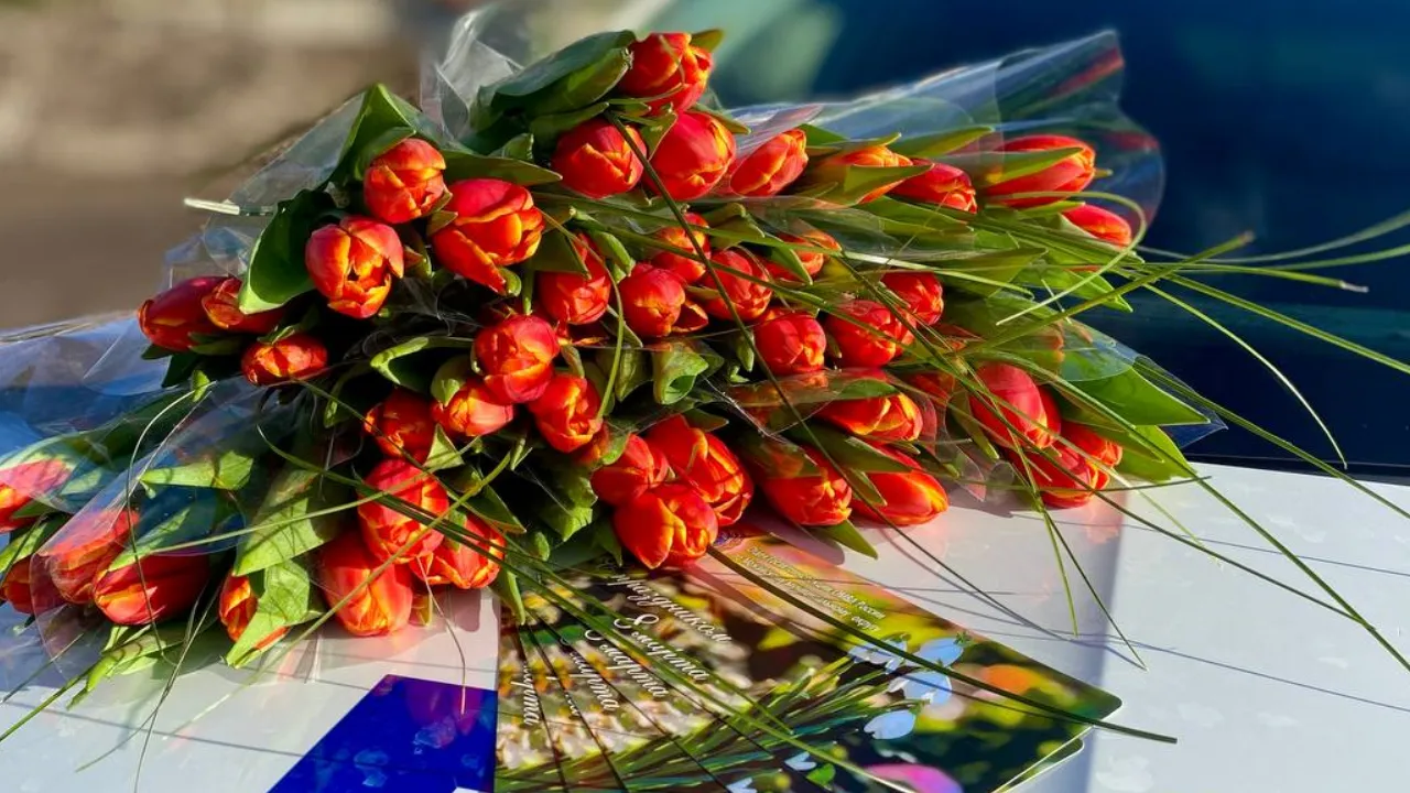 МедиаБанк Подмосковья/Яна Шаливская