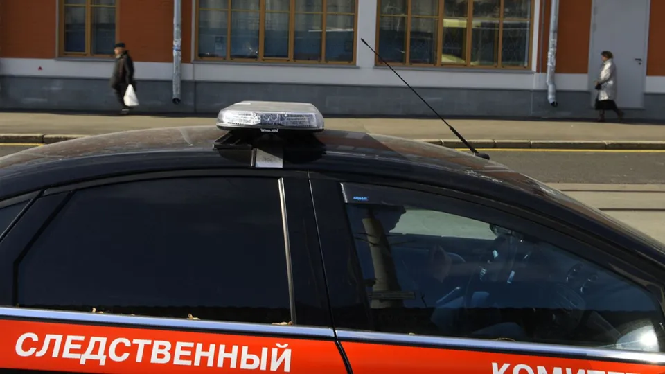 Фото: Медиаархив Подмосковья