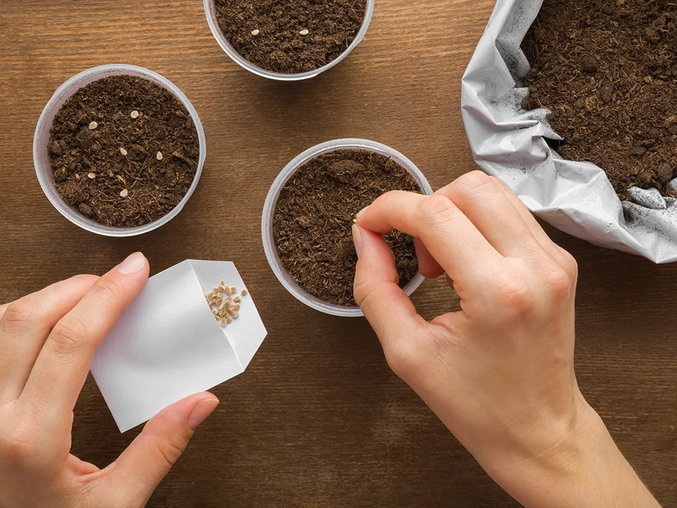 Фото: istockphoto.com/FotoDuets