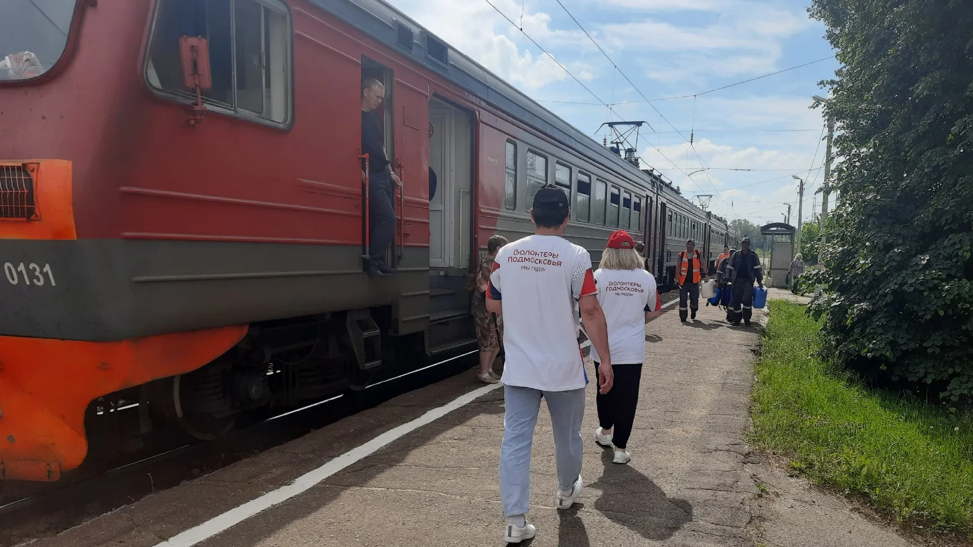 Фото: vk.com/Волонтеры Подмосковья | Серебряные Пруды