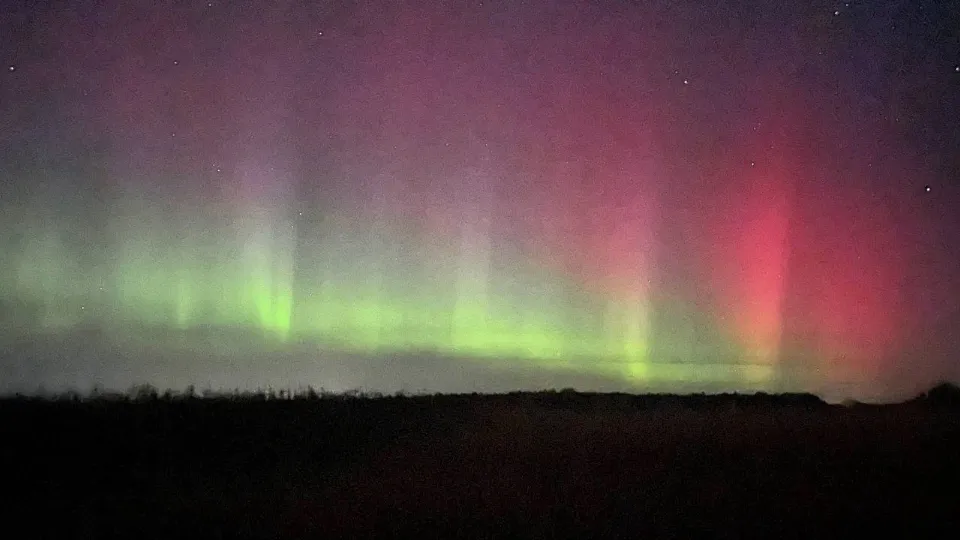 Фото: МедиаБанк Подмосковья/Дарья Леонова