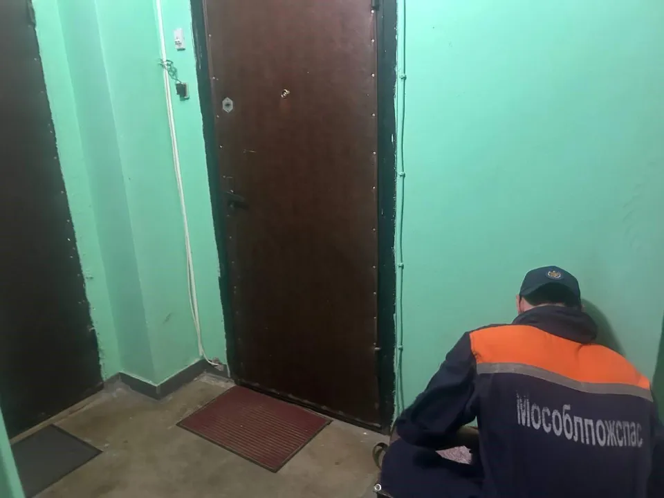 Фото: ГКУ МО «Мособлпожспас»