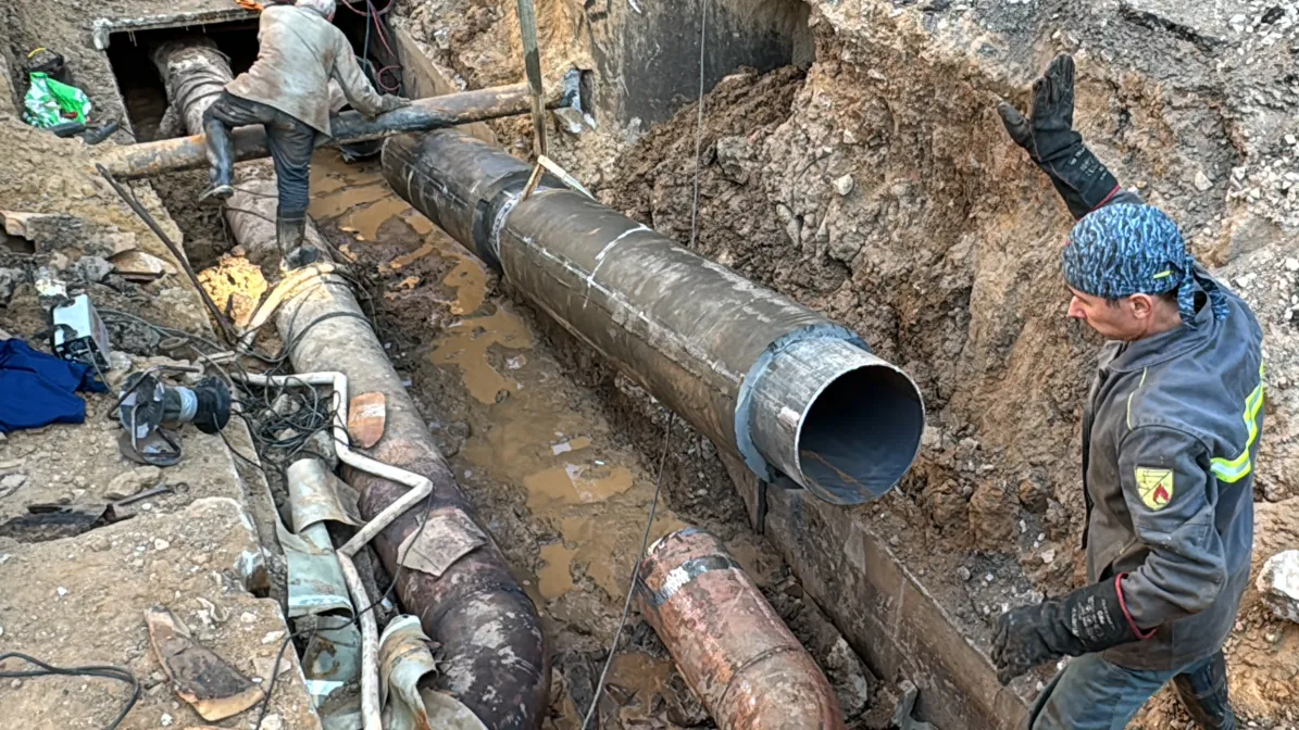 Фото: МедиаБанк Подмосковья/Мария Шматкова