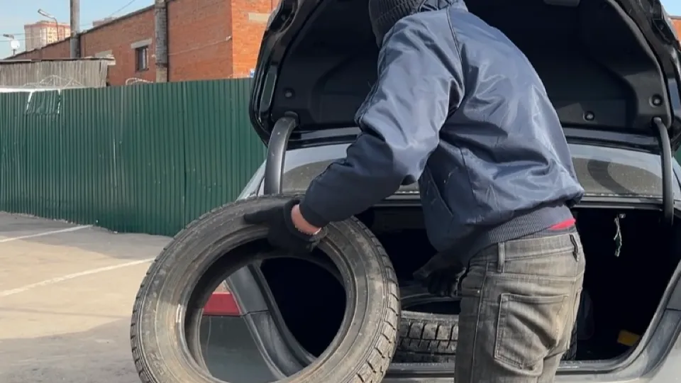 Фото: Медиабанк Подмосковье/ Ерофеева Валерия