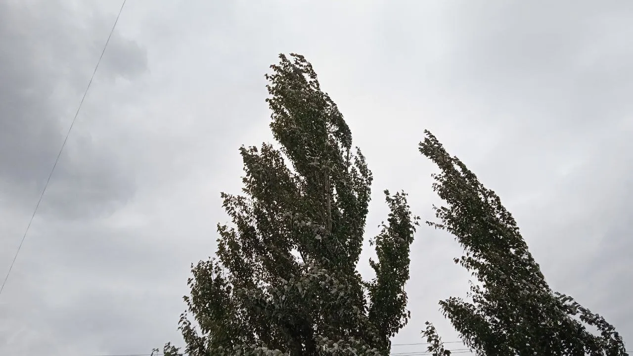 Фото: REGIONS/Юлия Куделькина