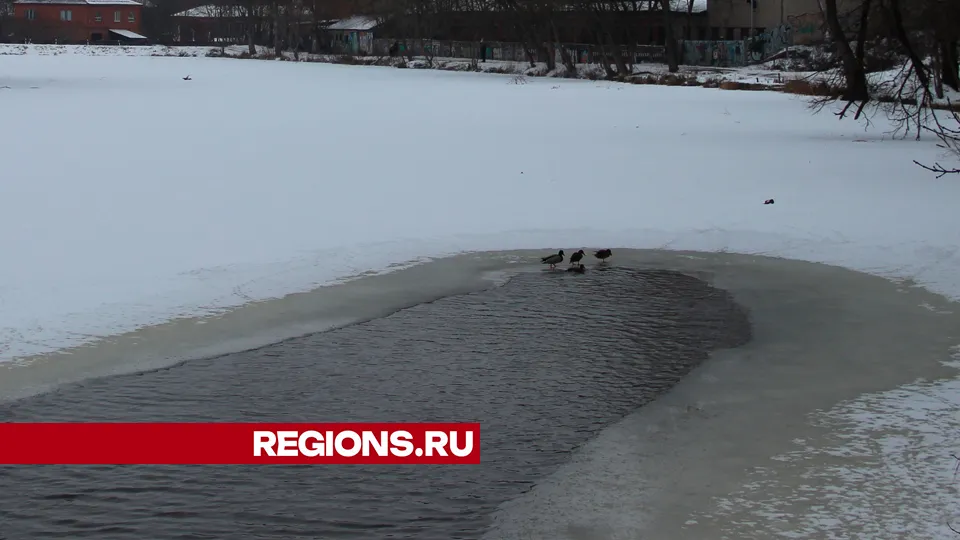 Фото: REGIONS/Василий Тремасов