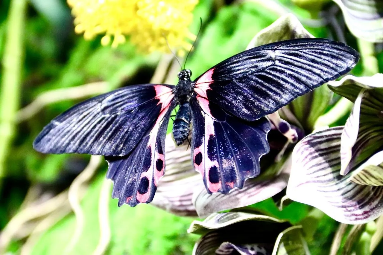 Фото:&nbsp;Филиал «На Большевистской» Центрального Дворца культуры «Созвездие»/ВКонтакте.