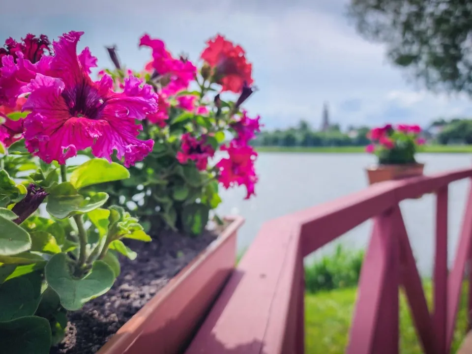 Фото: Ольга Антонова