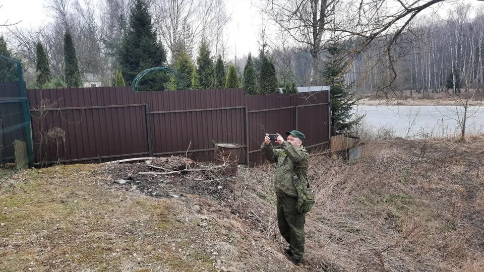 Фото: Комитет лесного хозяйства Московской области