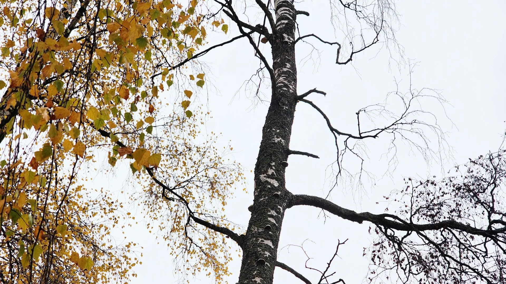 Фото: REGIONS/Полина Пахомова