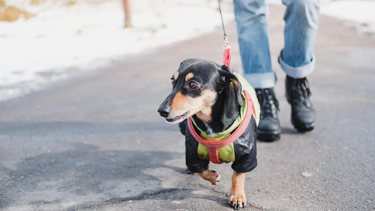 istockphoto.com/Photoboyko