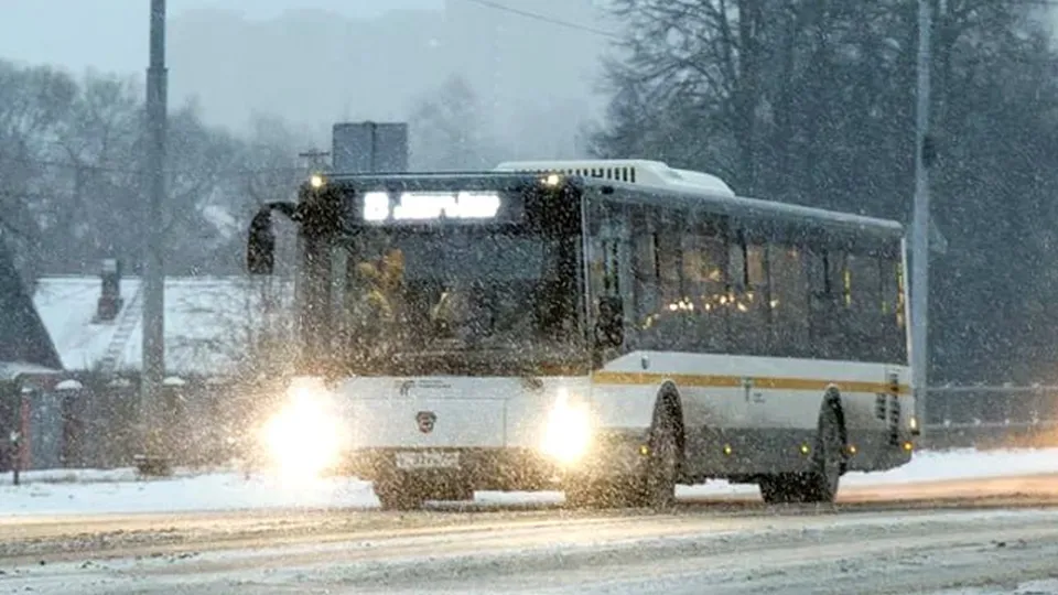 Фото: пресс-служба губернатора и правительства Московской области
