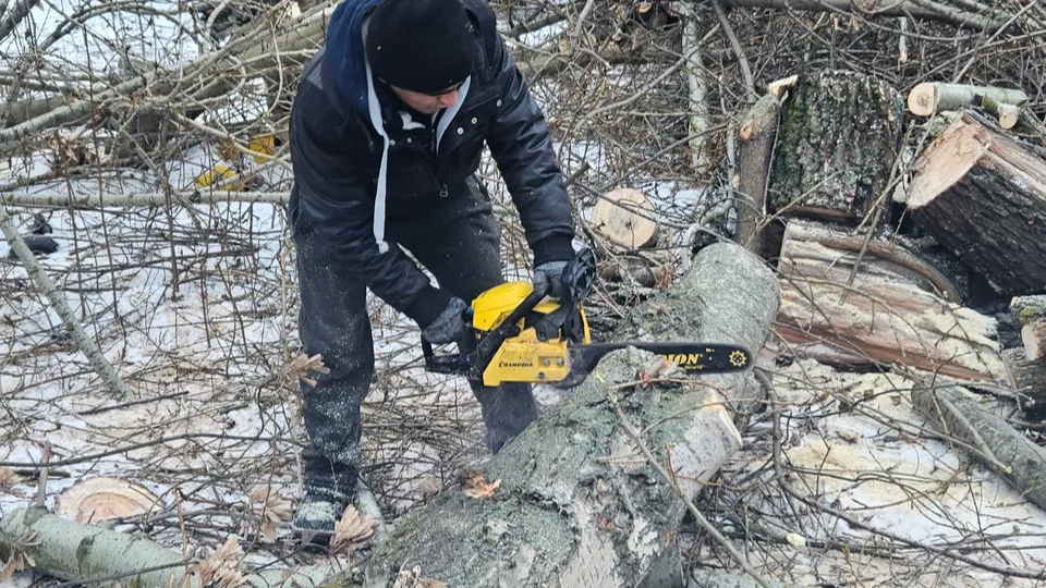 Фото: Ольга Вельшикаева